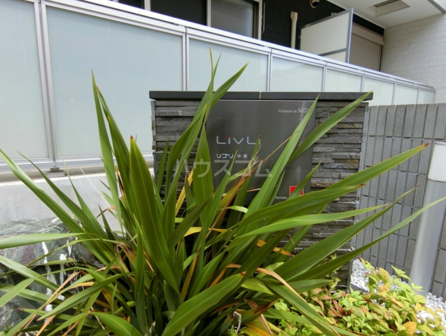 26/29 その他画像