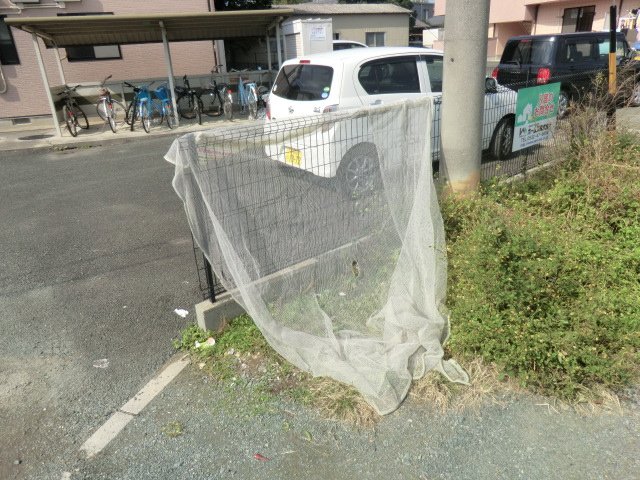 28/30 その他画像