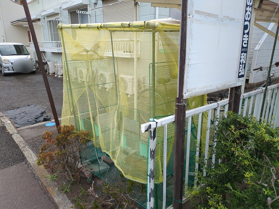その他共有