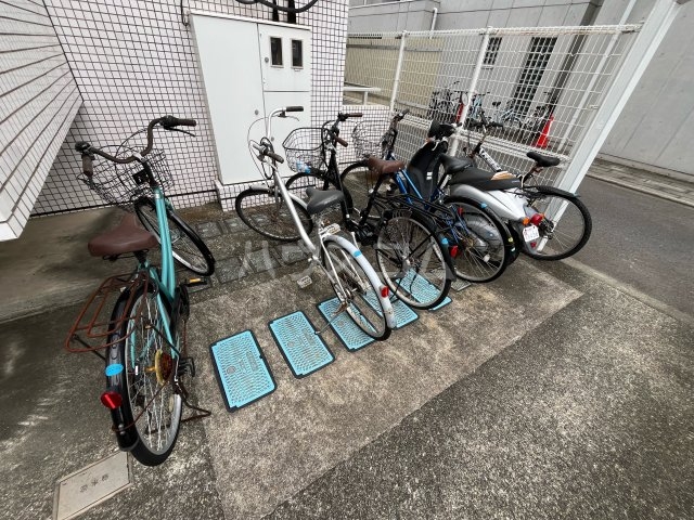 20/30 その他画像