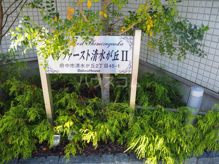 15/26 その他画像