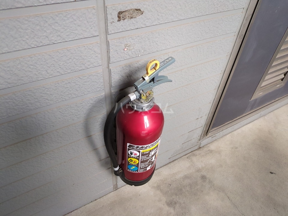 29/30 その他画像