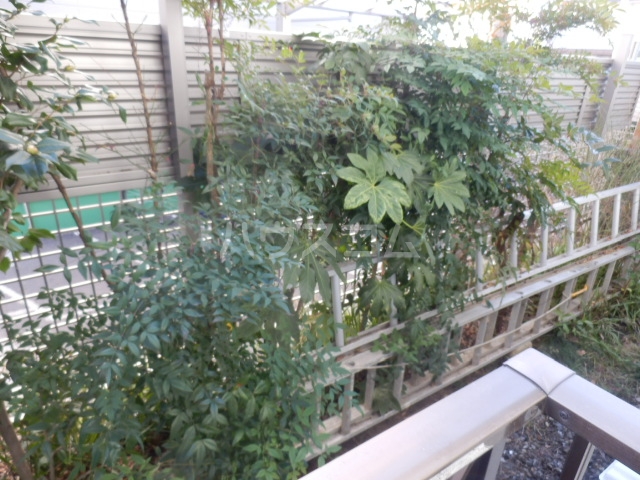 15/26 その他画像