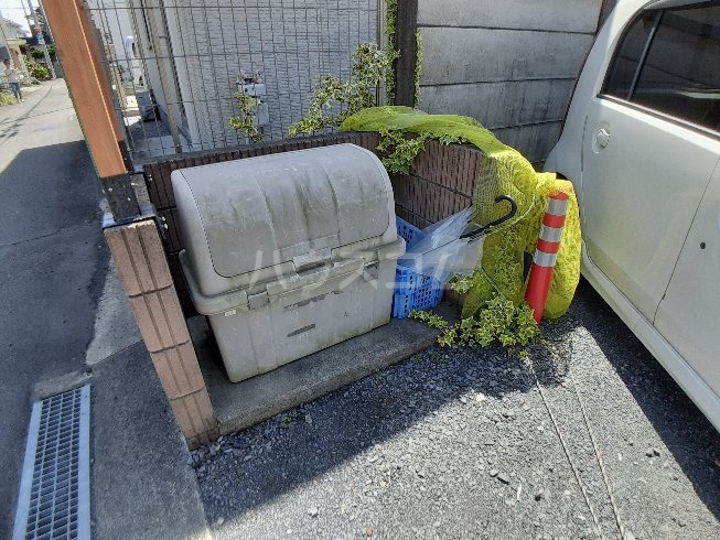 20/30 その他画像