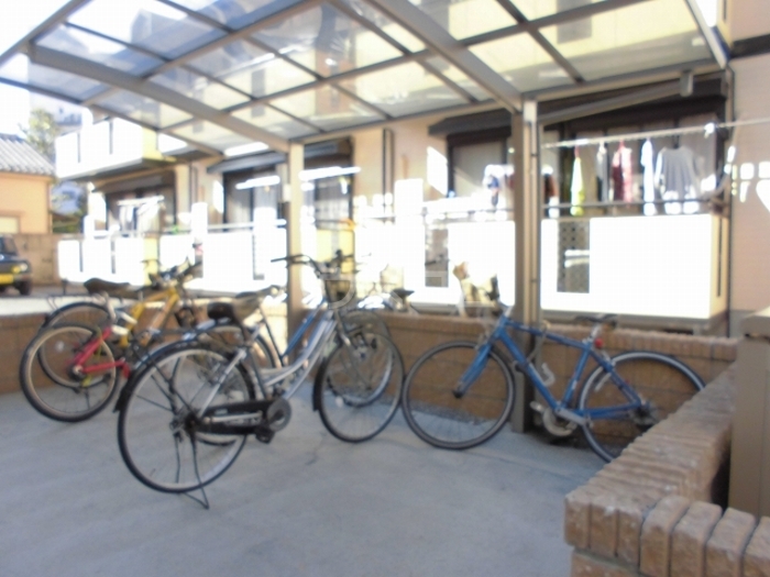 3/15 その他画像