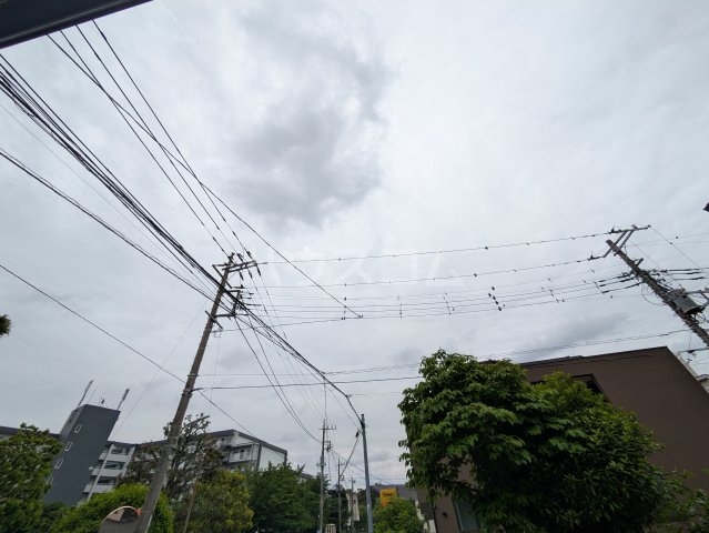 20/30 その他画像