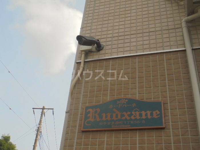 14/21 その他画像