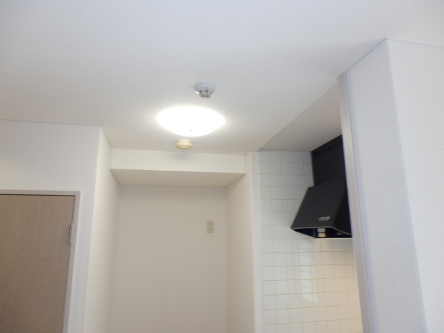 21/29 その他画像