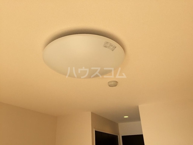 19/26 その他画像