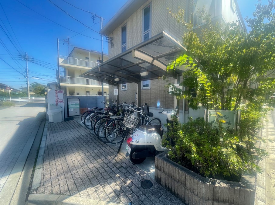 20/30 その他画像