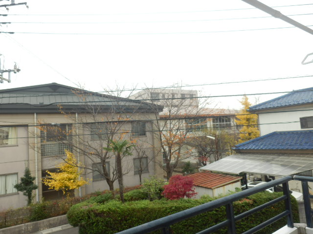 20/30 その他画像