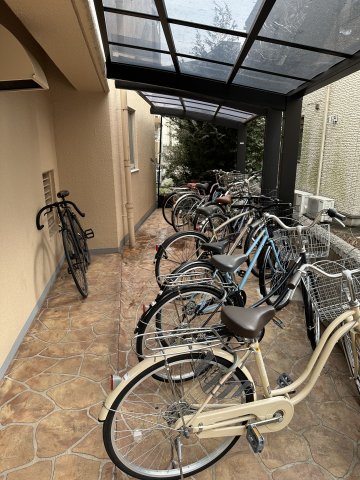 25/30 その他画像