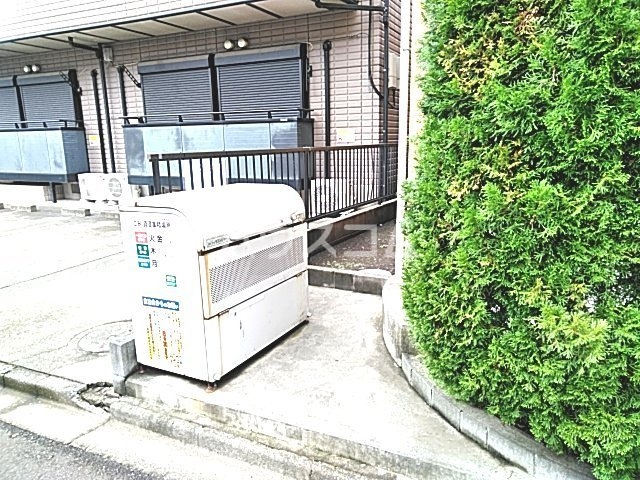 19/30 その他画像