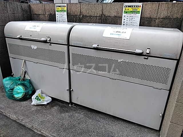 20/30 その他画像