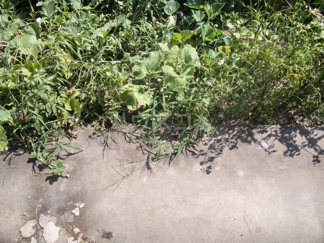 13/28 バルコニー