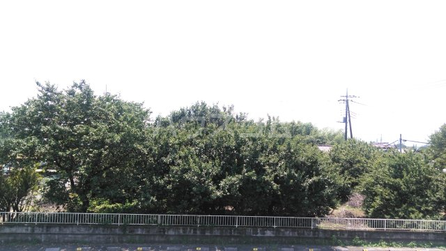 23/26 その他画像