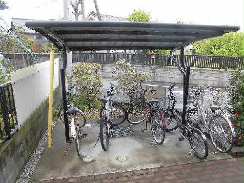 11/15 その他画像