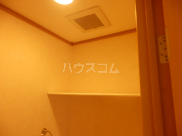 11/15 その他画像