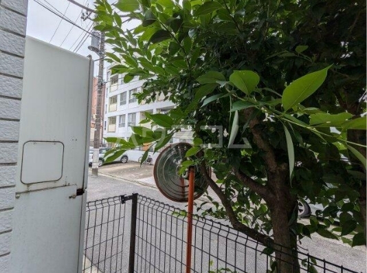 10/27 バルコニー