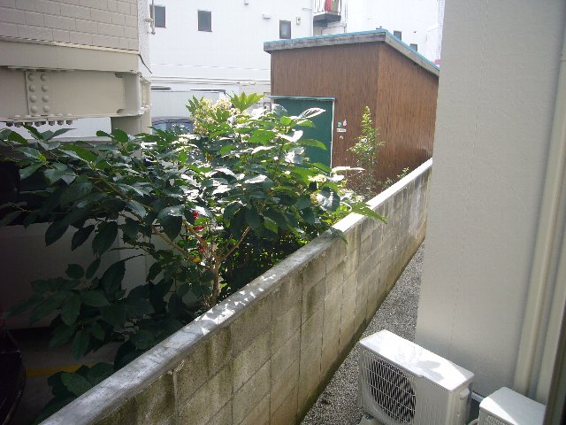 18/25 その他画像