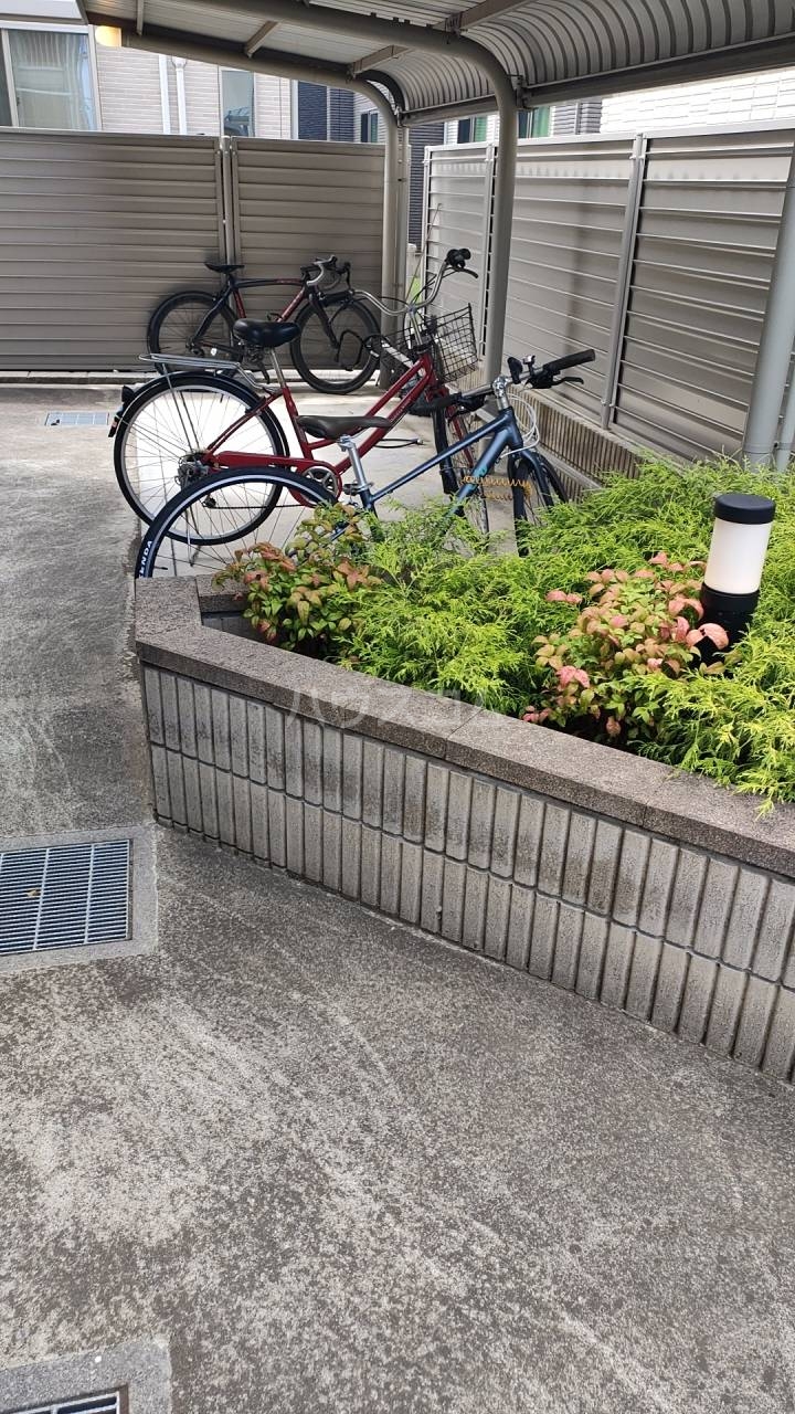 20/30 その他画像