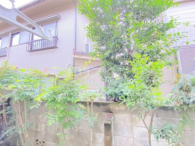 23/30 その他画像