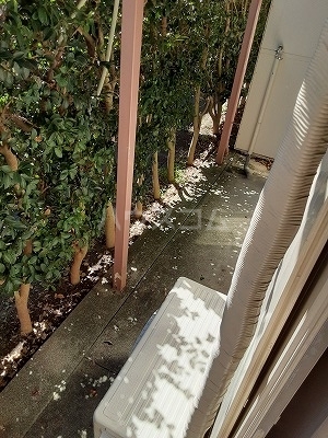 12/26 その他画像