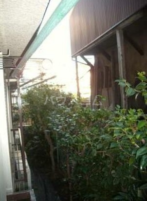 8/25 バルコニー