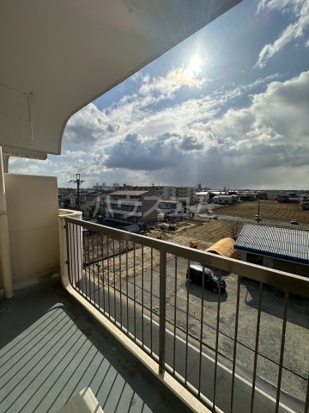 17/29 その他画像