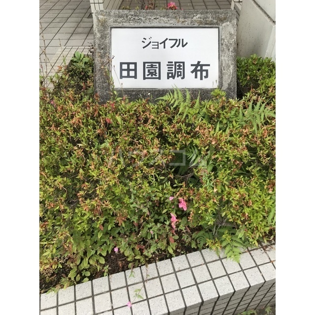 17/25 その他画像