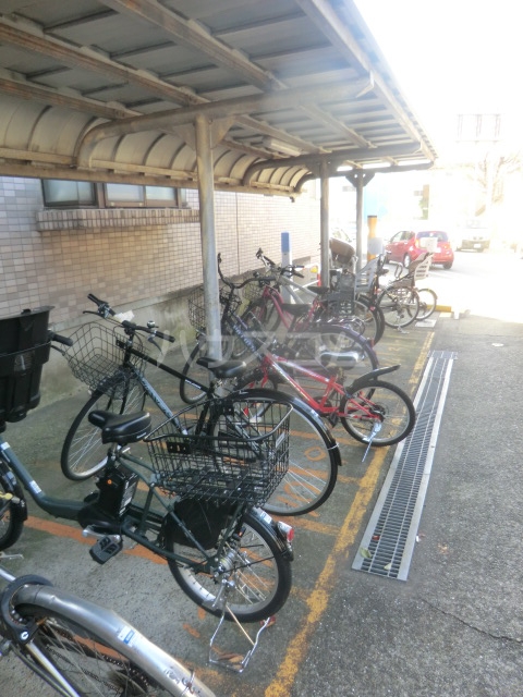 20/30 その他画像