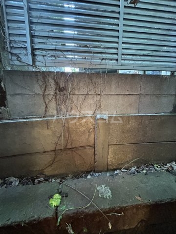 14/30 その他画像