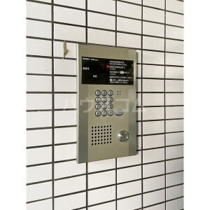 3/13 その他画像