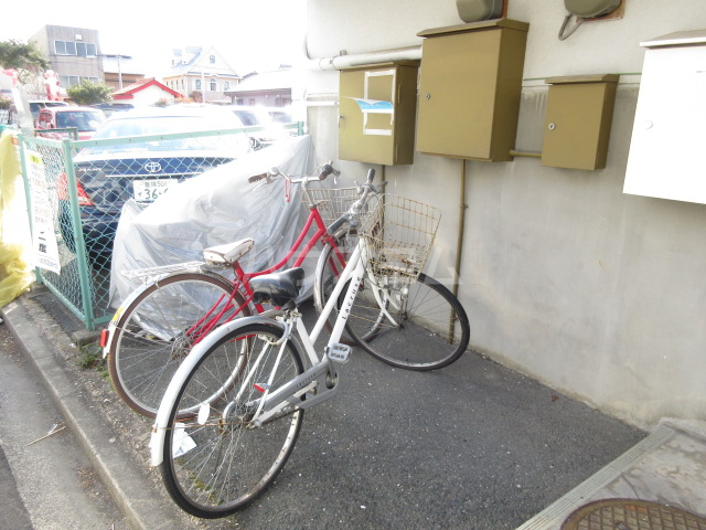 20/30 その他画像