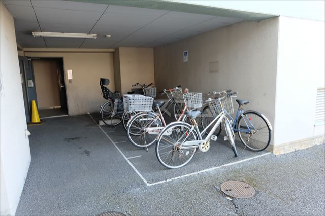 21/29 その他画像