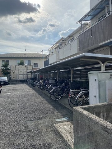 20/30 その他画像