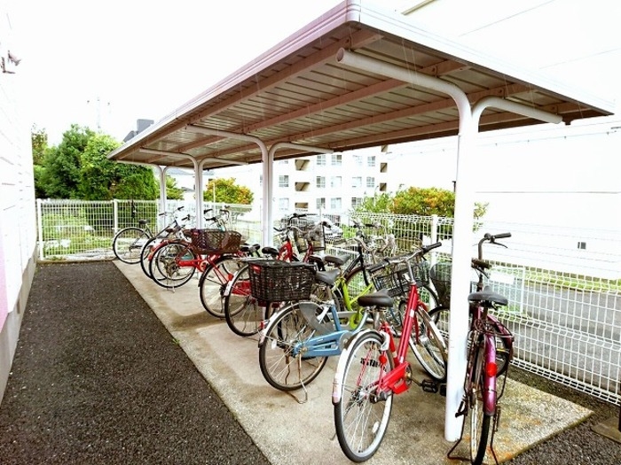 20/30 その他画像