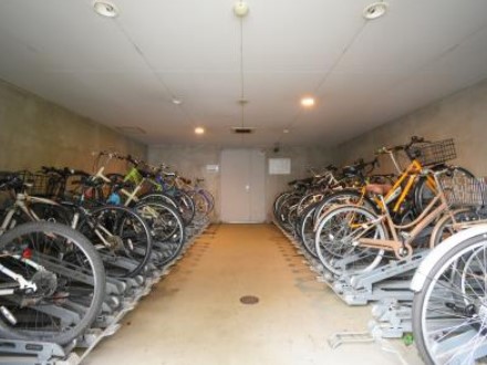 13/24 その他画像