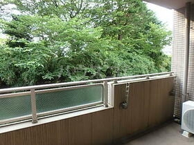 15/30 その他画像