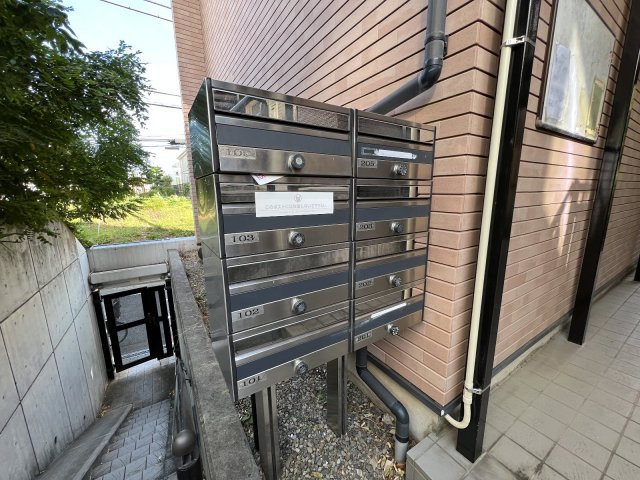 20/30 その他画像