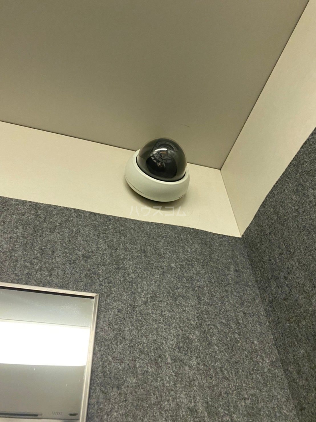 15/25 その他画像