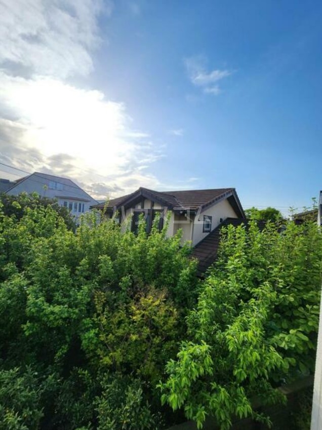 19/30 その他画像