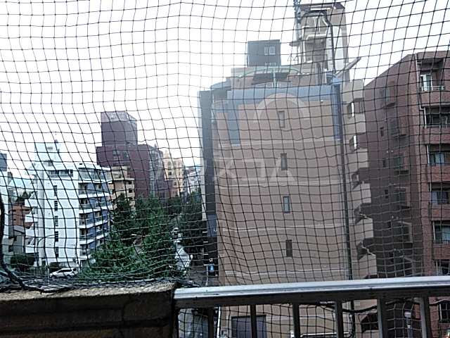 11/23 その他画像