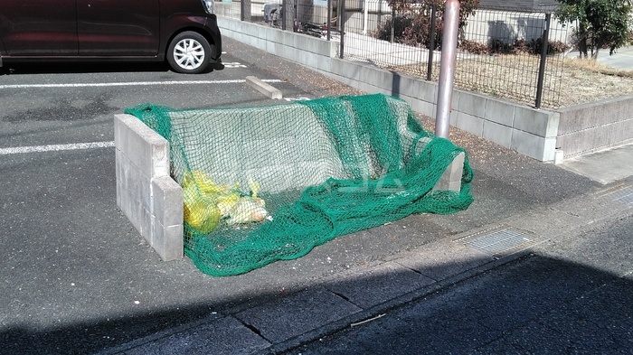 20/30 その他画像