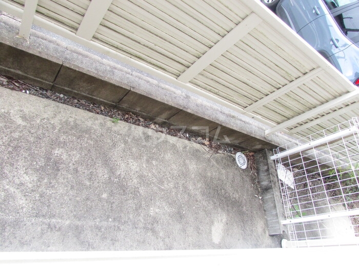 11/25 その他画像