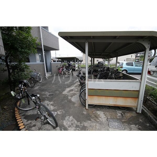 15/25 その他画像