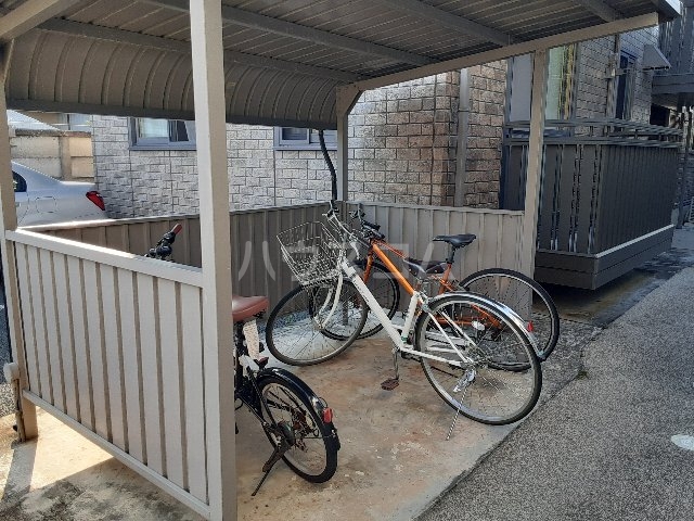 20/30 その他画像