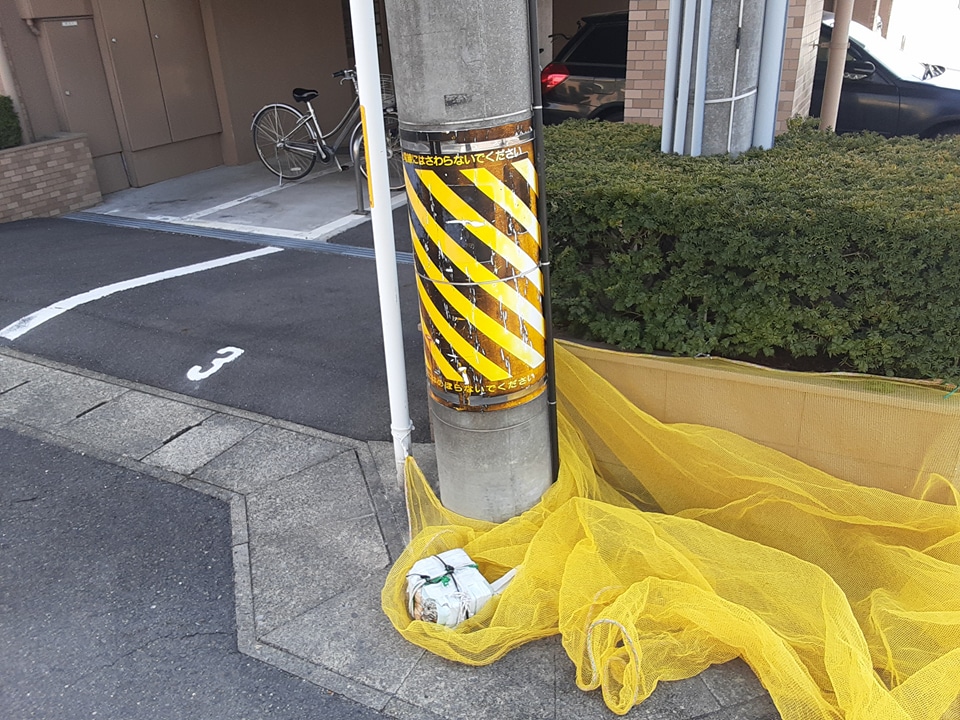 15/18 その他画像