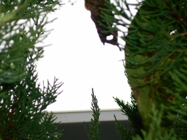 16/29 その他画像