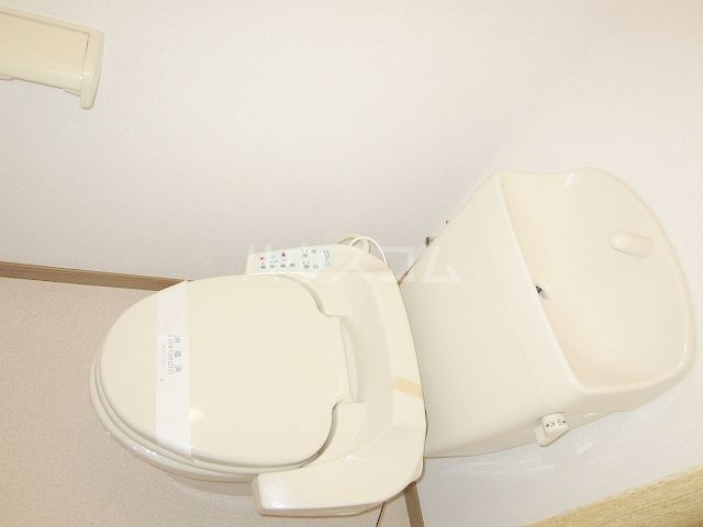 11/28 トイレ